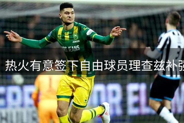 热火有意签下自由球员理查兹补强内线阵容